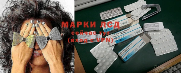 ПСИЛОЦИБИНОВЫЕ ГРИБЫ Приозерск