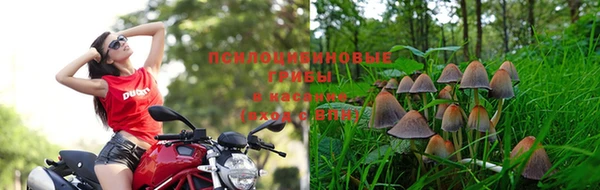 крисы Алексеевка